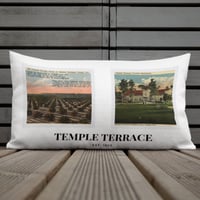 Historic Postcard Throw Pillow