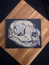 Cat Skull