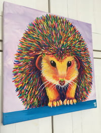 Image 4 of Rainbow Hedgehog Print