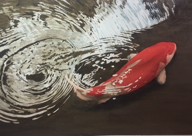 Image of Japanese Koi limited edition gicleé