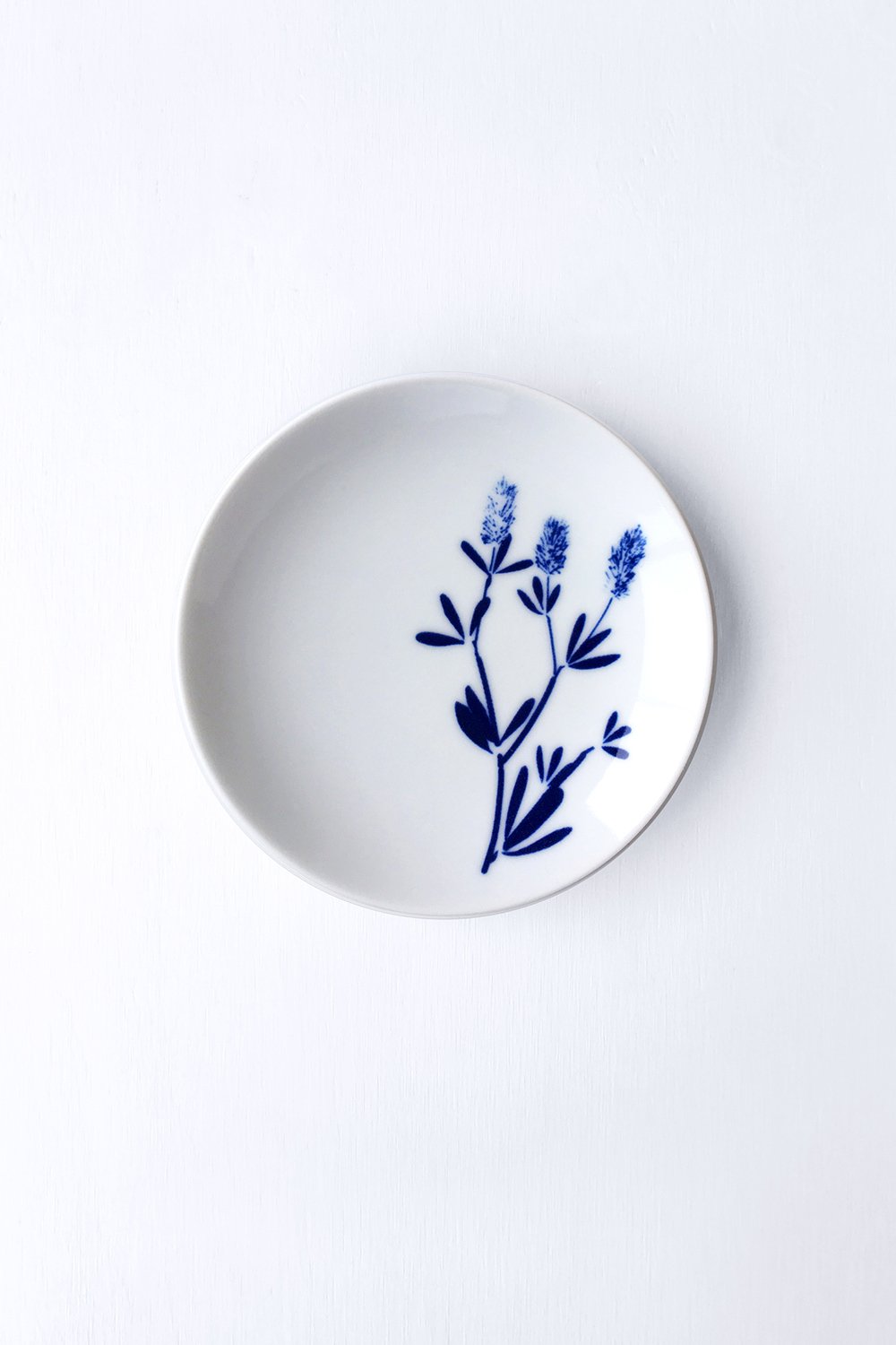 Image of Banksia - Mamezara