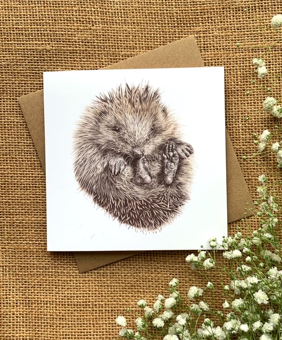 Image of 'Hedgie' Greetings Card