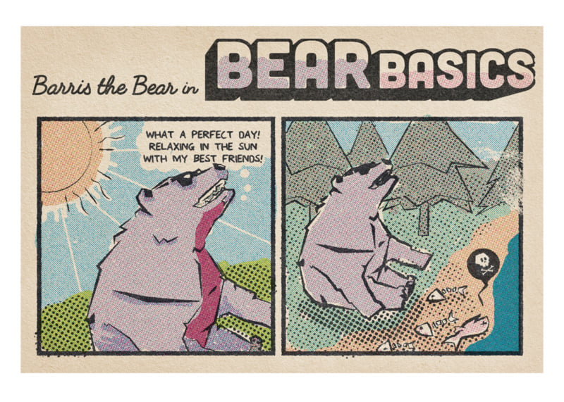 Image of Barris the Bear in Bear Basics