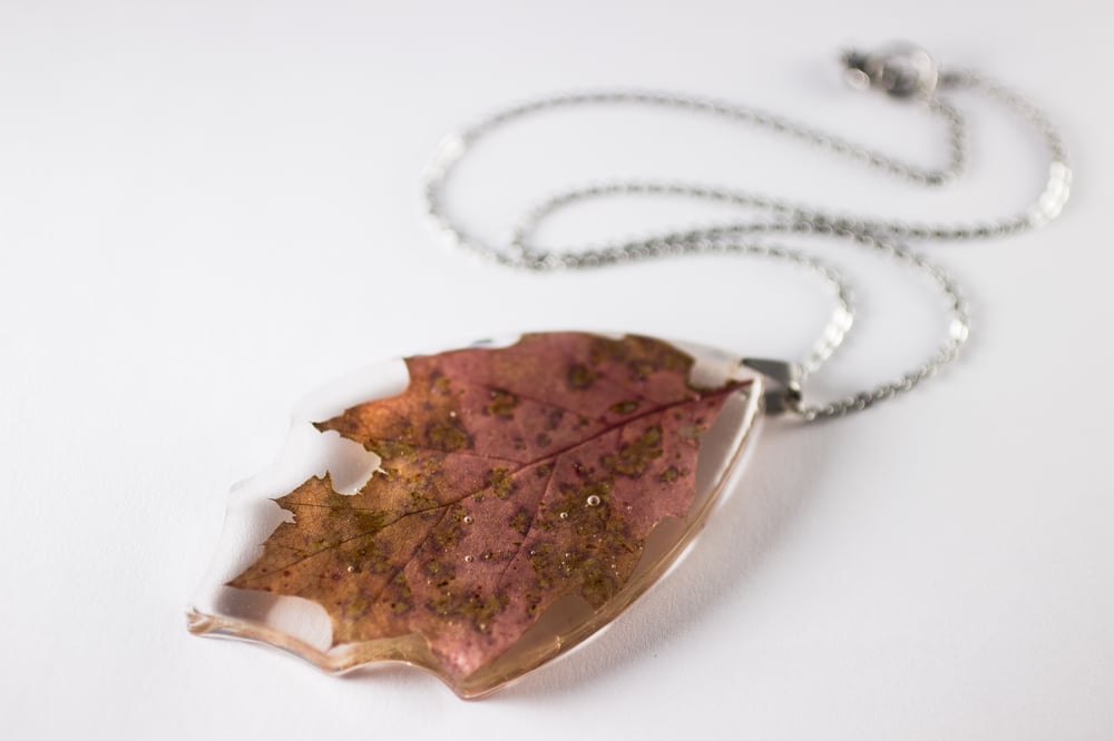 Image of Autumn Oak Leaf Extra-Large #1