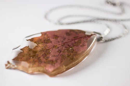 Image of Autumn Oak Leaf Extra-Large #1