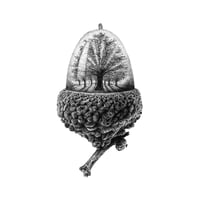 Image 1 of All In A Nutshell