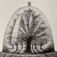 Image 2 of All In A Nutshell