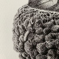 Image 3 of All In A Nutshell