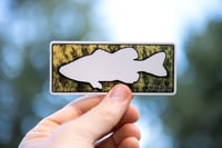 Smallmouth Bass Sticker