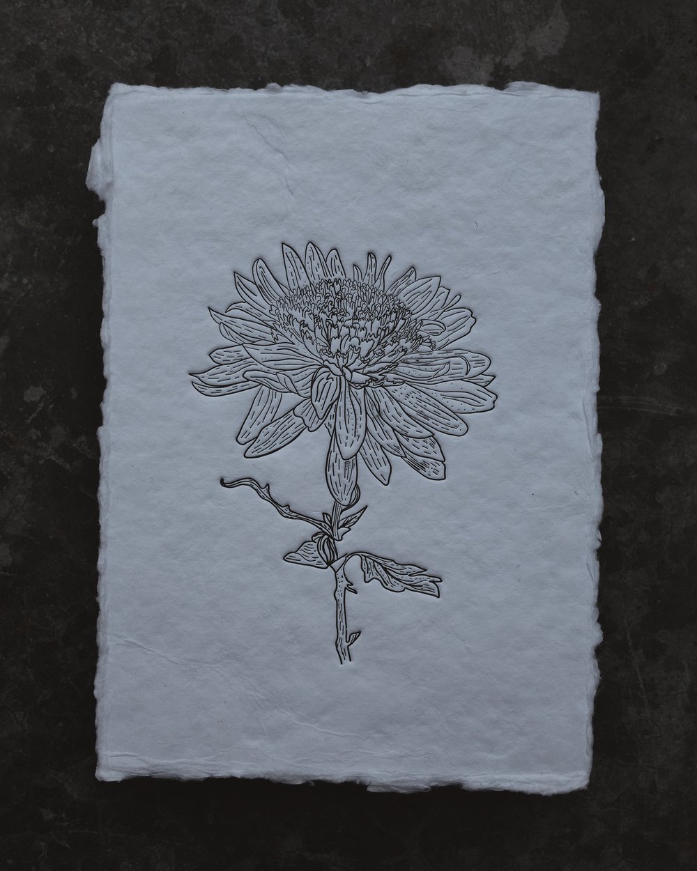 Image of Garden Flower Letterpress Print