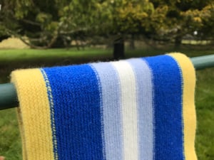 Image of The Becchio scarf