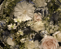 Floral Preservation Deposit 