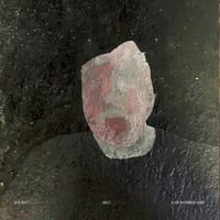 Image 2 of 100 Skin Graft