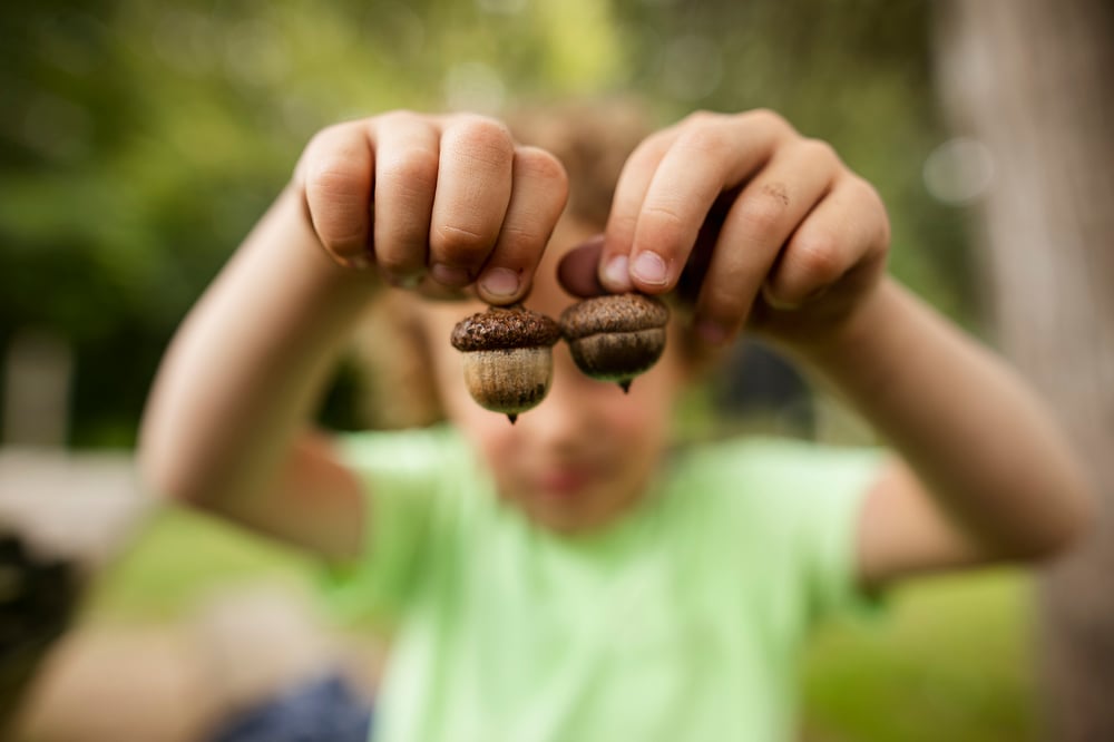 Image of Family Hike Adventure // Field trip :: Deposit