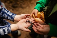 Image 2 of Family Hike Adventure // Field trip :: Deposit