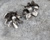 Calyx Studs