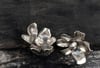 Calyx Studs