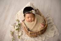 Image 1 of Terra • Circle of Life Collection