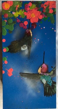 Xenz: Hummingbird blue