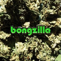 Image 1 of BONGZILLA ENAMEL PIN