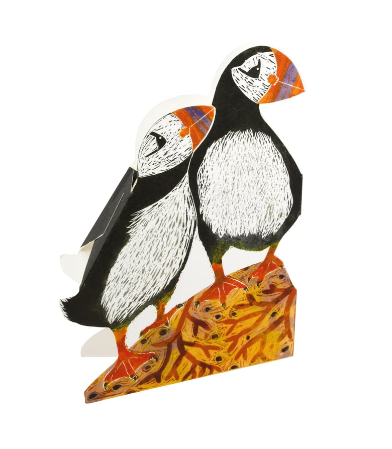Image of Puffin 3D