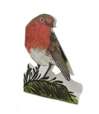 Garden Robin 3D