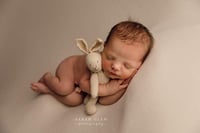 Image 1 of small Bunny / Rabbit, Handknitted Toy, Newborn Photo Prop, Photography prop, 
