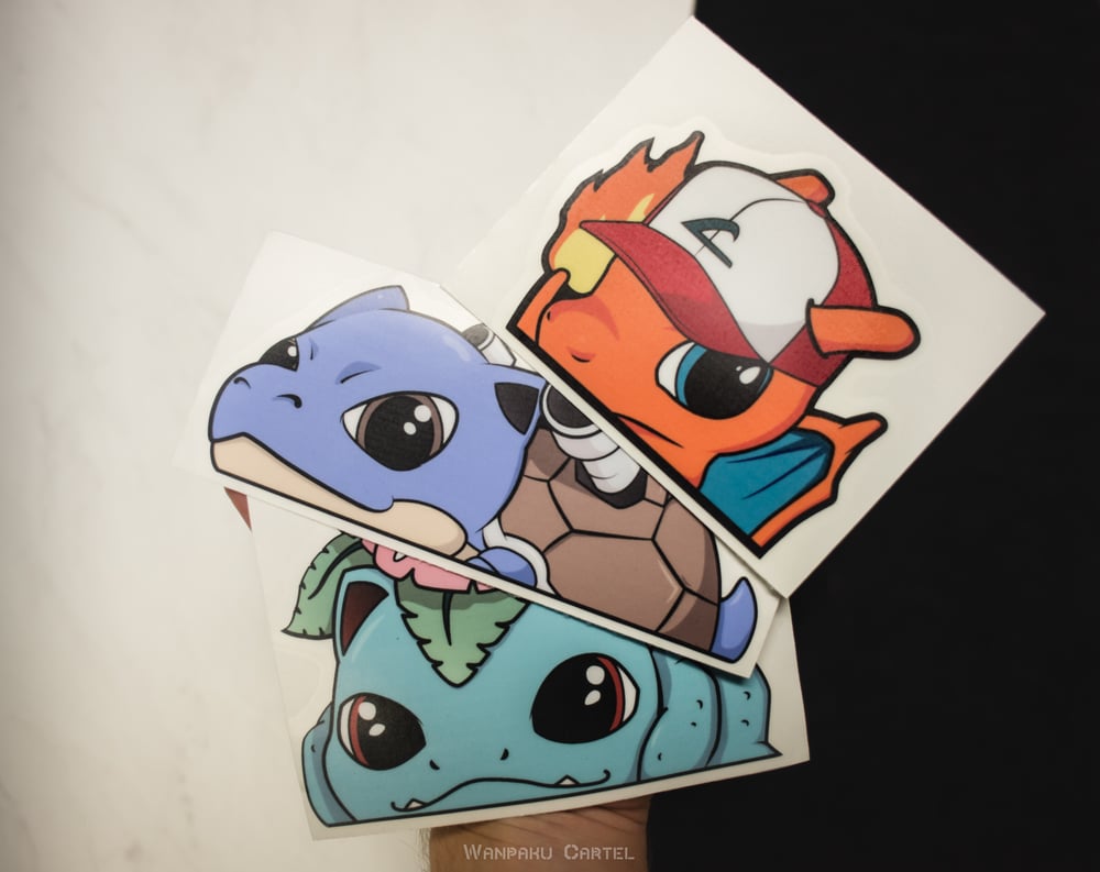 Kanto Wanpaku Cartel ワンパク Kanto Wanpaku Cartel ワンパク