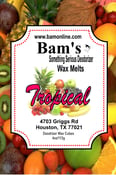 Image of Tropical Wax Melts 