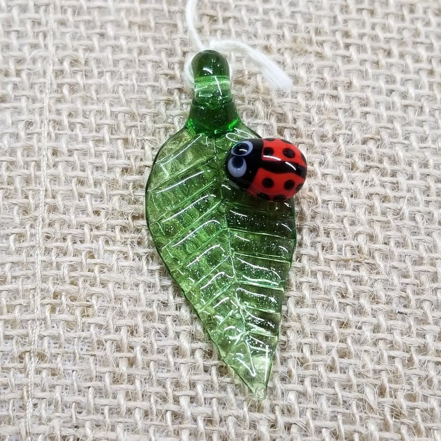 Image of Green Stardust Ladybug