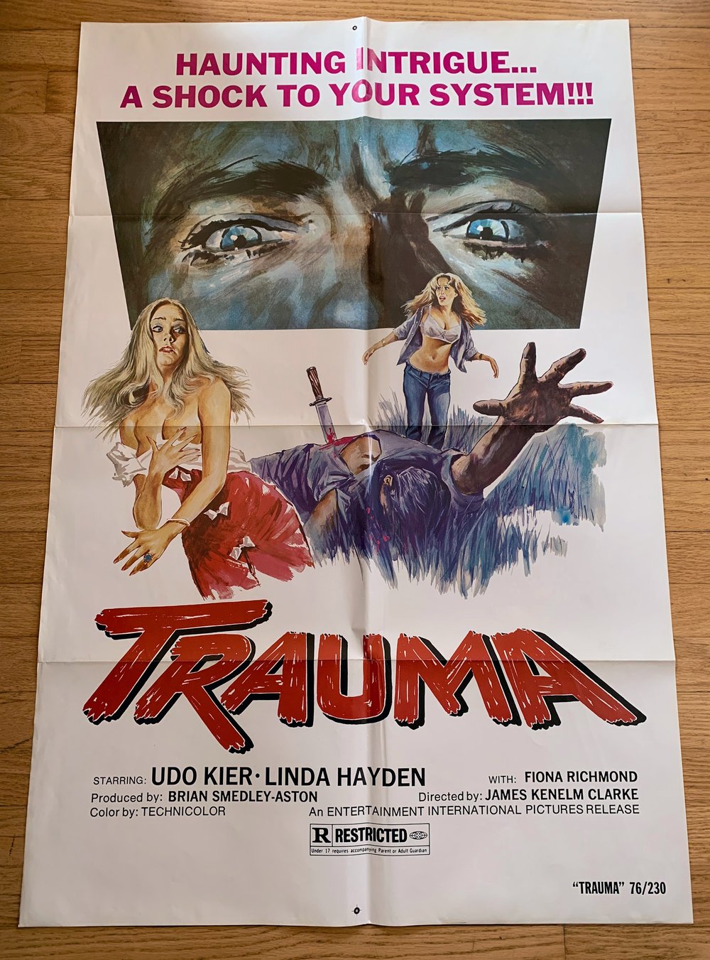 1976 TRAUMA aka HOUSE ON STRAW HILL Original U.S. One Sheet Movie Poster