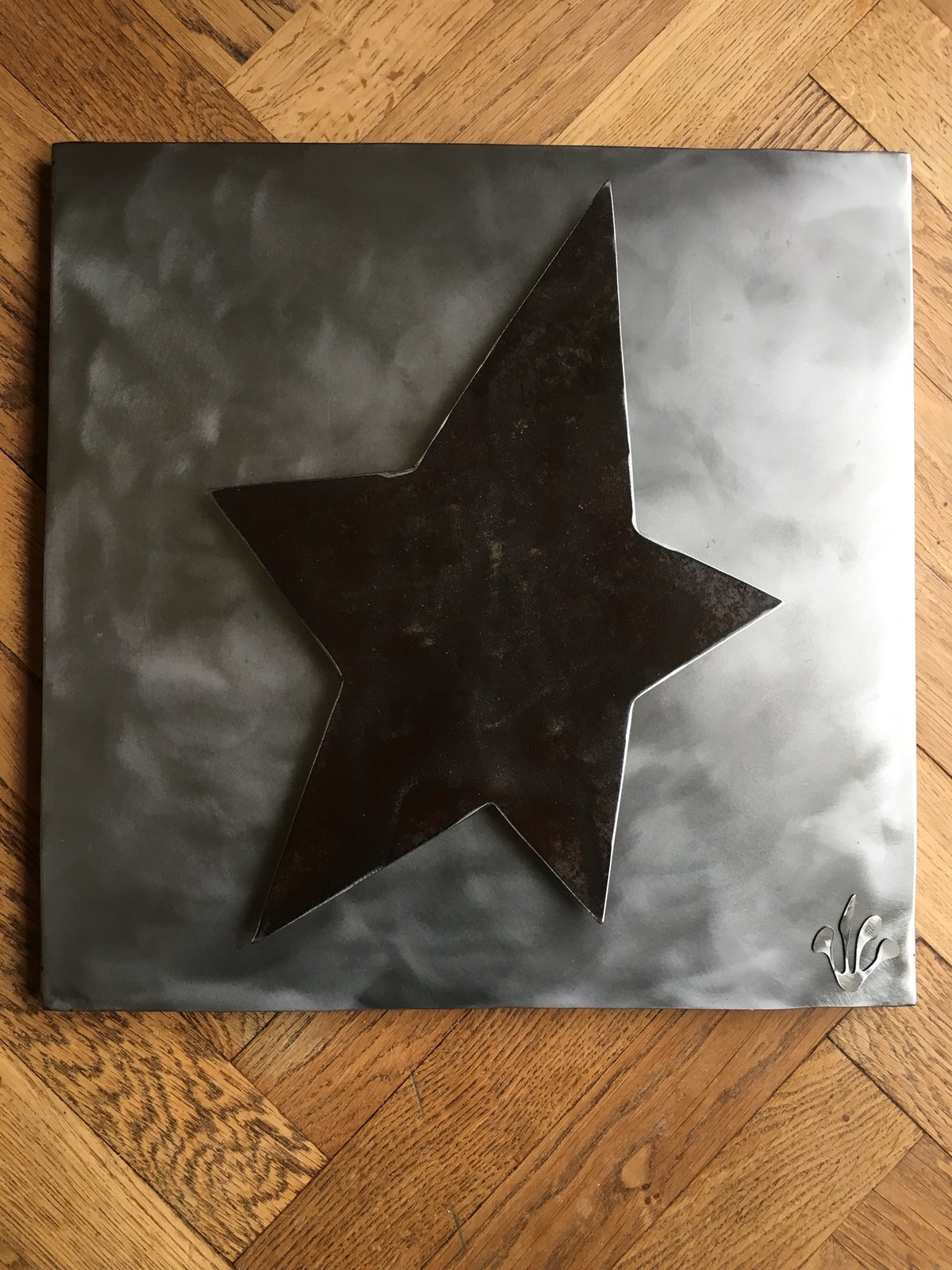 Image of ☆ Tableau Acier ☆ 25x25