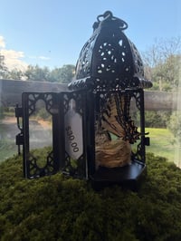 Image 4 of Swallowtail Lantern 