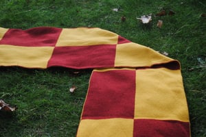 Image of The Philliben scarf