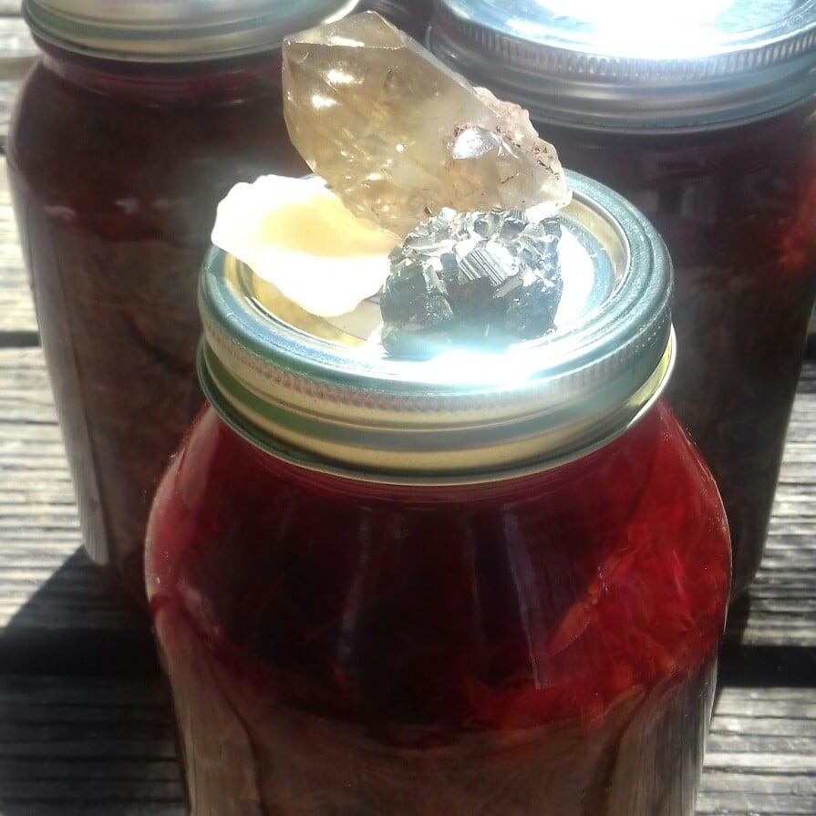 Image of St. John's Wort Infused Oil