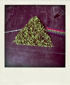 Image of I Like Triangles 12"