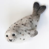 Image 5 of Harbour Seal - Needle Felting Kit