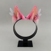Image 1 of Pink Fairy Fox 
