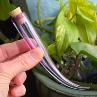 Image 6 of Light Purple Whisker Keeper