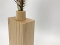 Image of Monument Dry Vase