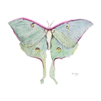 Image 1 of Luna Moth
