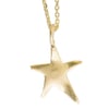Ziggy star charm necklace