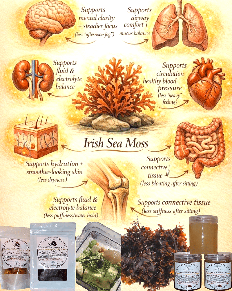 SEA VEGETABLES. Cold Water Chondrus Crispus Irish Sea Moss-Dulse-Sea Lettuce-Kombu-7 Blend-Agar-