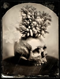 Skull & Flowers