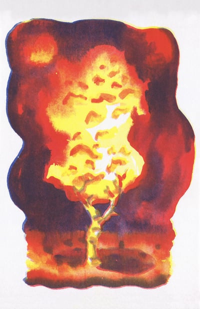 Image of Burning Bush 