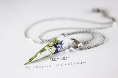 Image of Hyssop (Hyssopus officinalis) - Conical Pendant #2