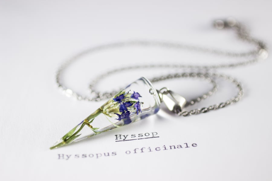Image of Hyssop (Hyssopus officinalis) - Conical Pendant #2