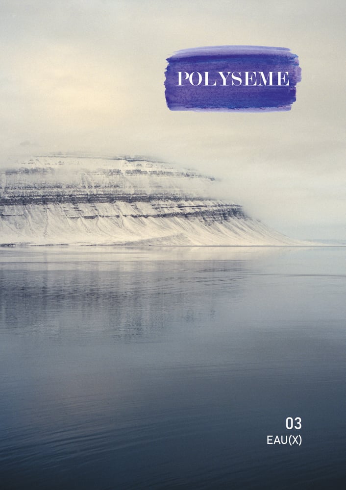 Image of Polysème #3 - Eau(x)