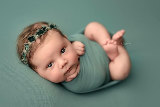 Image of Luxury silk Velvet bows headband