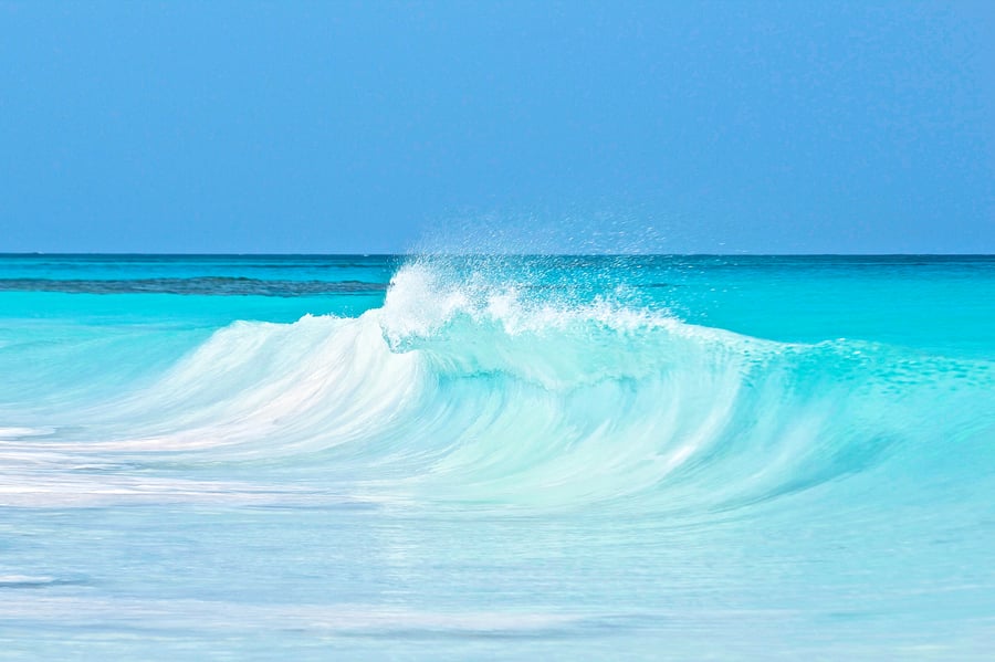 Image of The Perfect Wave, 2015